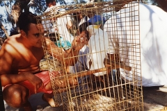 Grecia 1995 | Isole Cicladi | Paros, Antiparos