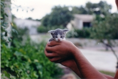 Francia 1999 | Corsica