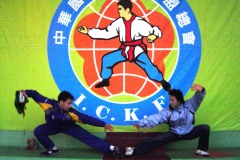 Taiwan 2004 | Campionati Mondiali di Kung Fu | Tainan