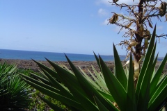 Spagna 2005 | Isole canarie | Fuerteventura