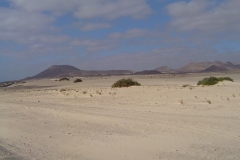 Spagna 2005 | Isole canarie | Fuerteventura