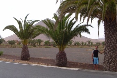 Spagna 2005 | Isole canarie | Fuerteventura