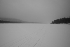 Finlandia 2006 | Lapponia | Rovaniemi