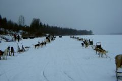 Finlandia 2006 | Lapponia | Rovaniemi