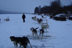 Finlandia 2006 | Lapponia | Rovaniemi