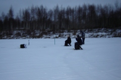 Finlandia 2006 | Lapponia | Rovaniemi