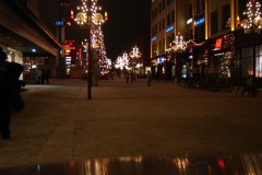 Finlandia 2006 | Lapponia | Rovaniemi