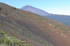 Spagna 2006 | Isole Canarie | Tenerife