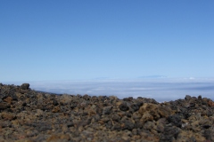 Spagna 2006 | Isole Canarie | Tenerife