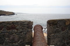 Spagna 2006 | Isole Canarie | Tenerife