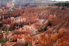 Usa 2008 | Arizona | Bryce Canyon