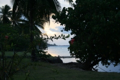 Polinesia Francese 2008 | Moorea, thaiti