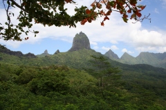 Polinesia Francese 2008 | Moorea, thaiti