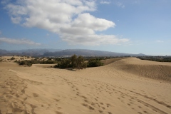 Spagna 2009 | Isole Canarie | Gran Canaria