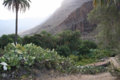 Spagna 2009 | Isole Canarie | Gran Canaria