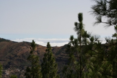 Spagna 2009 | Isole Canarie | Gran Canaria