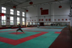 Cina del Nord 2010 | Tianjin | Scuola di Kung fu "Huo Yuanjia Wenwu"