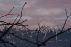 Slovenia 2010 | Lubiana, Bled