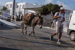 Grecia 2022 | Isole Cicladi | Mikonos