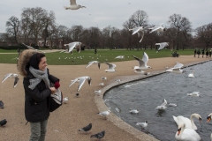 Londra 2016 | Kensington Gardens