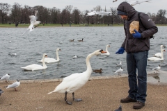 Londra 2016 | Kensington Gardens