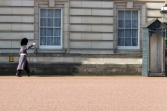 Londra 2016 | Buckingham Palace