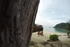 Malesia 2016 | Isole Perhentian | Chipmunk curioso