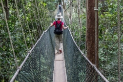 Malesia 2016 | Taman Negara