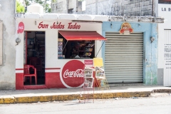 Messico 2015 | Yucatán | Caucel