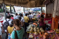 Messico 2015 | Yucatán | Merida