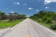 Messico 2015 | Carretera Merida Celestun