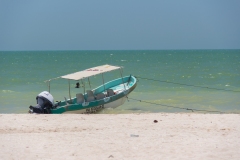 Messico 2015 | Yucatán | Celestún