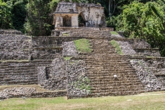 Messico 2015 | Chapas | Palenque