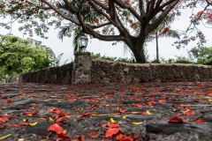 Santo Domingo 2018 | Altos de Chavón