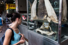 Thailandia 2014 | Bangkok | China Town