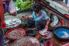 Thailandia 2014 | Bangkok | Maeklong Railway Market