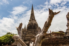 Thailandia 2014 | Ayutthaya