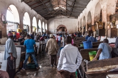 Zanzibar 2017 | Stone Town | Mercato del pesce