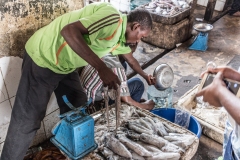 Zanzibar 2017 | Stone Town | Mercato del pesce