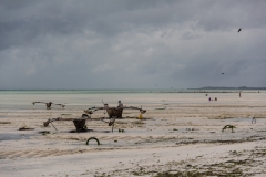 Zanzibar 2017